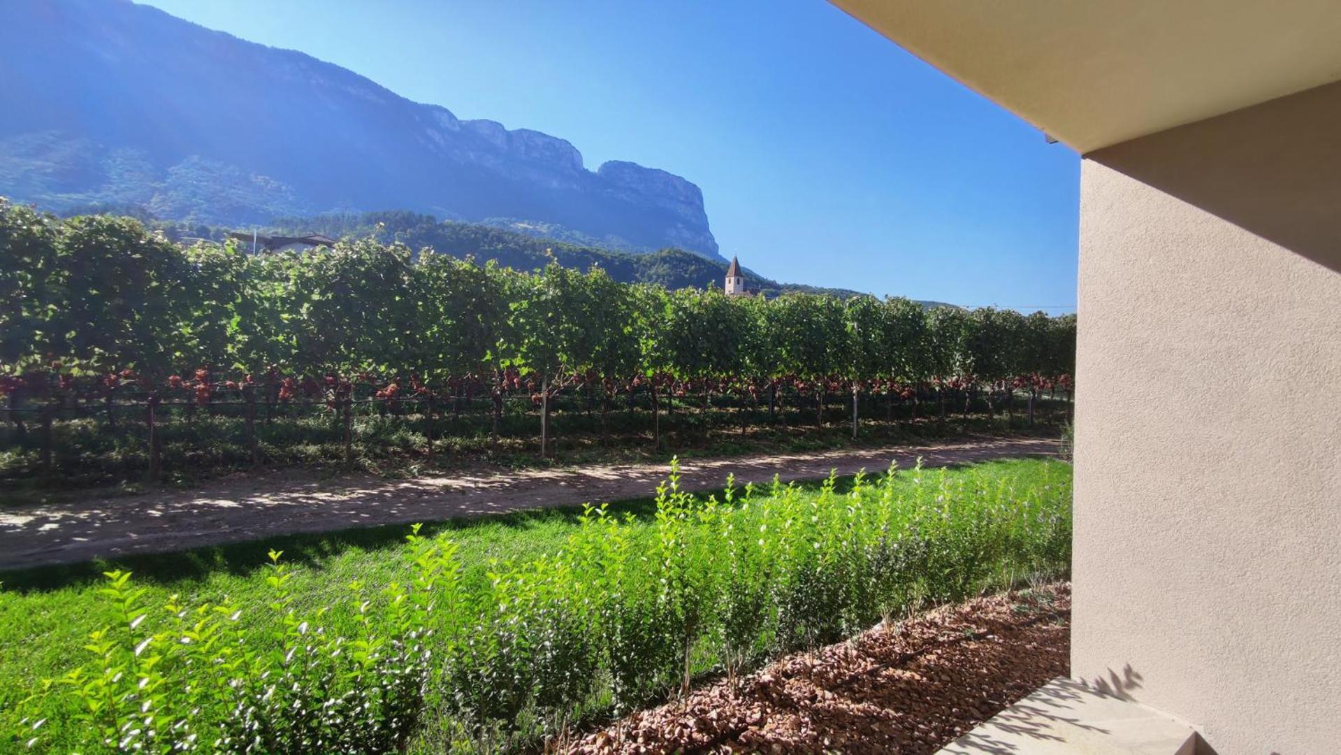 Highlight Apartments Appiano Sulla Strada Del Vino Oda fotoğraf