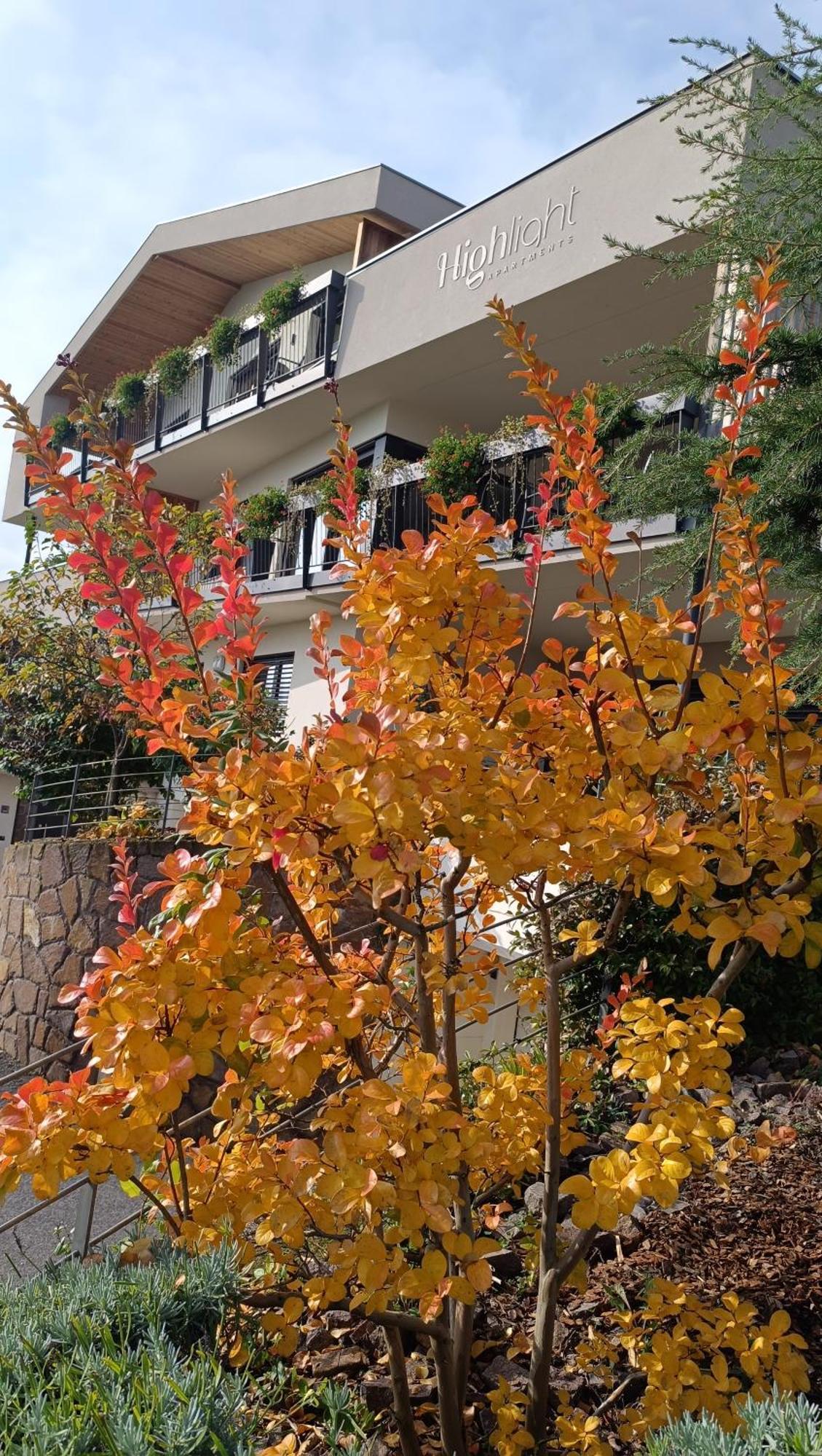 Highlight Apartments Appiano Sulla Strada Del Vino Dış mekan fotoğraf